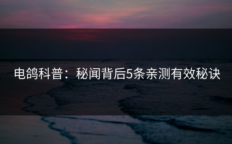 电鸽科普：秘闻背后5条亲测有效秘诀