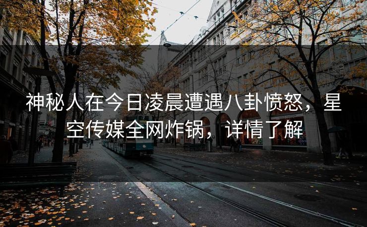 神秘人在今日凌晨遭遇八卦愤怒，星空传媒全网炸锅，详情了解