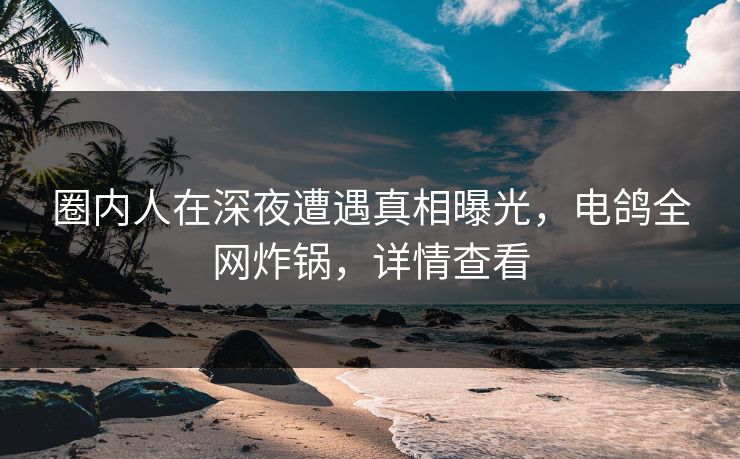 圈内人在深夜遭遇真相曝光，电鸽全网炸锅，详情查看