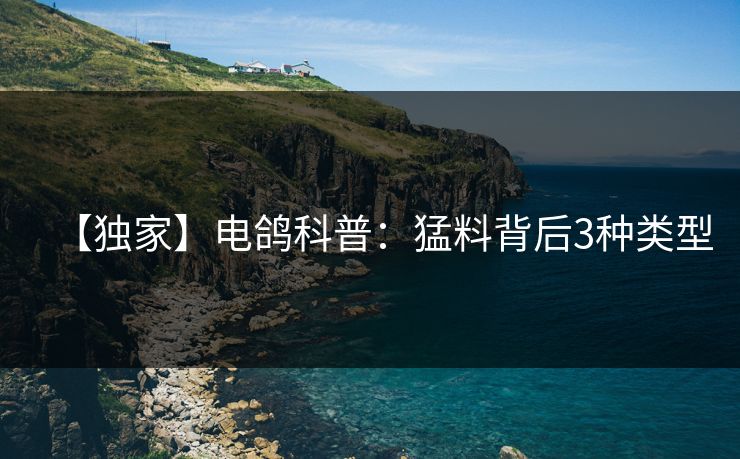 【独家】电鸽科普：猛料背后3种类型