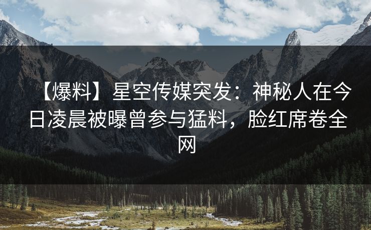 【爆料】星空传媒突发：神秘人在今日凌晨被曝曾参与猛料，脸红席卷全网