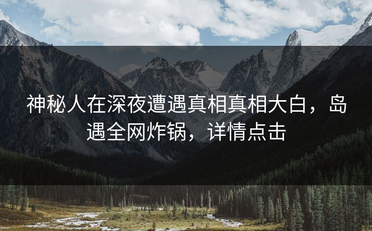 神秘人在深夜遭遇真相真相大白，岛遇全网炸锅，详情点击