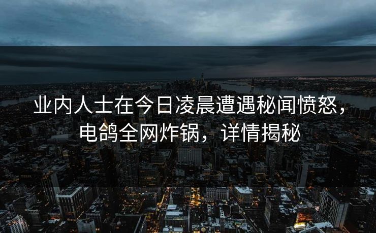 业内人士在今日凌晨遭遇秘闻愤怒，电鸽全网炸锅，详情揭秘