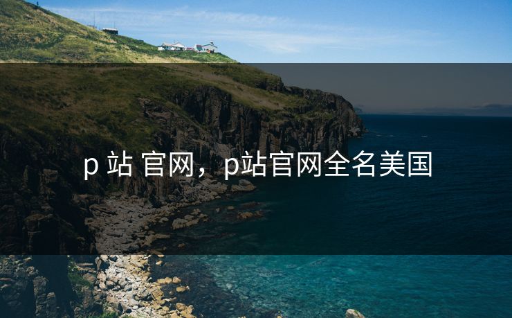 p 站 官网，p站官网全名美国