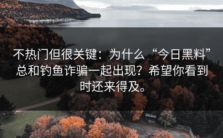 不热门但很关键：为什么“今日黑料”总和钓鱼诈骗一起出现？希望你看到时还来得及。