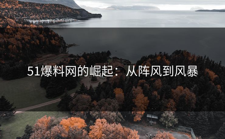 51爆料网的崛起：从阵风到风暴